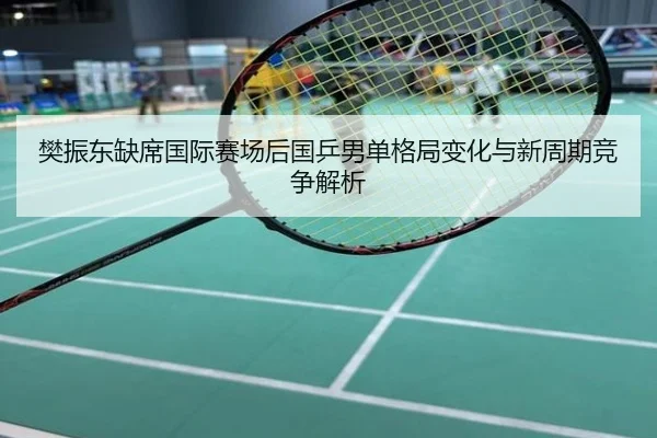 樊振东缺席国际赛场后国乒男单格局变化与新周期竞争解析