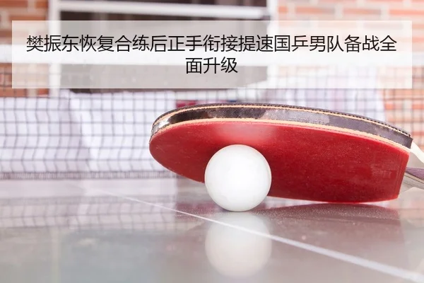 樊振东恢复合练后正手衔接提速国乒男队备战全面升级